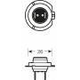 лампа авто_OSRAM_H7 64210 12V 55W PX26d_ (шт.)
