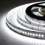 Лента LED_12V_SMD3014 _28,8W/240 PCS/M _IP20_БЕЛАЯ_ (м.)