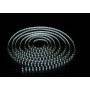 Лента LED_12V_SMD3528_4.8W/60 PCS/M_IP20_БЕЛАЯ ХОЛОДНАЯ_ (м.)