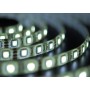 Лента LED_12V_SMD5050 _14,4W/60 PCS/M _IP65_БЕЛАЯ_(W) (м.)