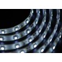 Лента LED_24V_ SMD3528 _4.8W/60PCS/M _IP55_БЕЛАЯ_(ROHS) (м.)