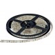 Лента LED_24V_ SMD3528 _4.8W/60PCS/M _IP55_БЕЛАЯ_(ROHS) (м.)