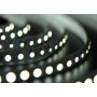 Лента LED_12V_SMD3528_9.6W/120 PCS/M _IP33_БЕЛАЯ_(хололдная) (м.)