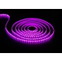 Лента LED_12V_SMD5050_14,4W/60 PCS/M _IP65_RGB_(W) (м.)