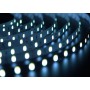 Лента LED_12V_ SMD5630 _14W/60PCS/M _IP33_БЕЛАЯ_С.Р.(45200) (м.)