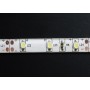 Лента LED_12V_ SMD3528 _4.8W/60PCS/M _IP65_БЕЛАЯ_С.Р.(41100) (м.)