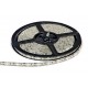 Лента LED_24V_ SMD3528_9.6W/120 PCS/M _IP65_БЕЛАЯ_ (м.)