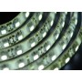 Лента LED_24V_ SMD3528_9.6W/120 PCS/M _IP65_БЕЛАЯ_ (м.)